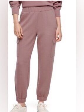 Express Mauve Cargo Jogger Pants - Express